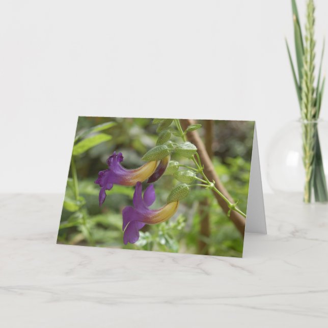 2 lila blommor kort (Framsida)