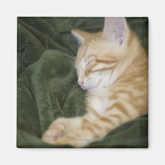 2 MAGNET (Framsidan)