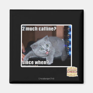 2 mycket caffine? magnet