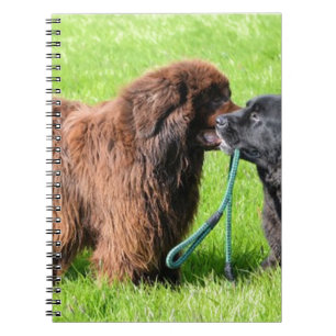 2 newfies.png anteckningsbok med spiral