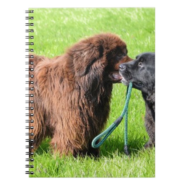 2 newfies.png anteckningsbok med spiral (Framsidan)