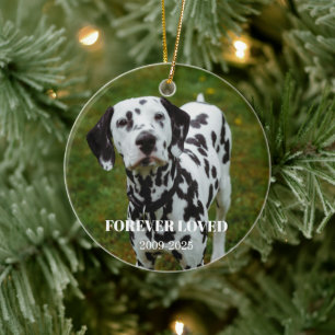 2 Pet Foto & Gratis Text Personlig Minnesgåva Julgransprydnad Keramik