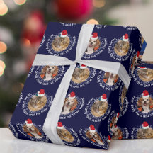 2 Pet Photo Santy Paws Little Helpers Santa Hat