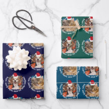 2 Pet Photo Santy Tass Little Helpers Santa Hat