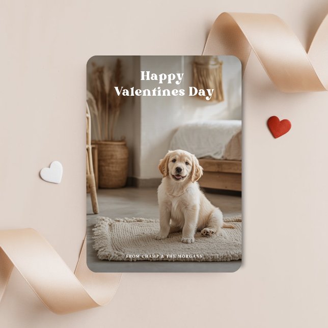 2 Photo Puppy Pet Retro Hund Valentines day Julkort (Skapare uppladdad)