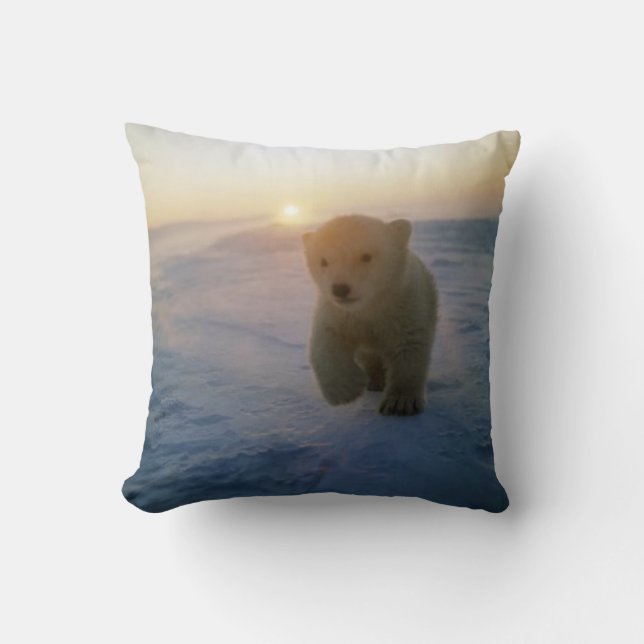 #2--Polarbjörnunge Kudde (Framsida)