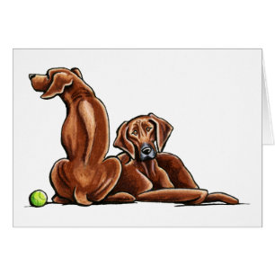 2 Rhodesian Ridgebacks Hälsningskort