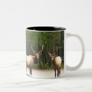 2 Rocky Mountain Elk Två-Tonad Mugg
