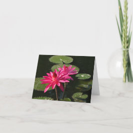 2 rosa vatten hälsningskort nr 1 7711 kort