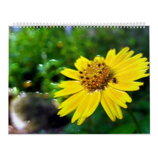 2 sida, stor vitkalender kalender