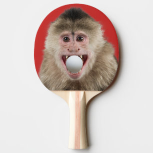 2-sidig apa med Boll i munnen Pingisracket