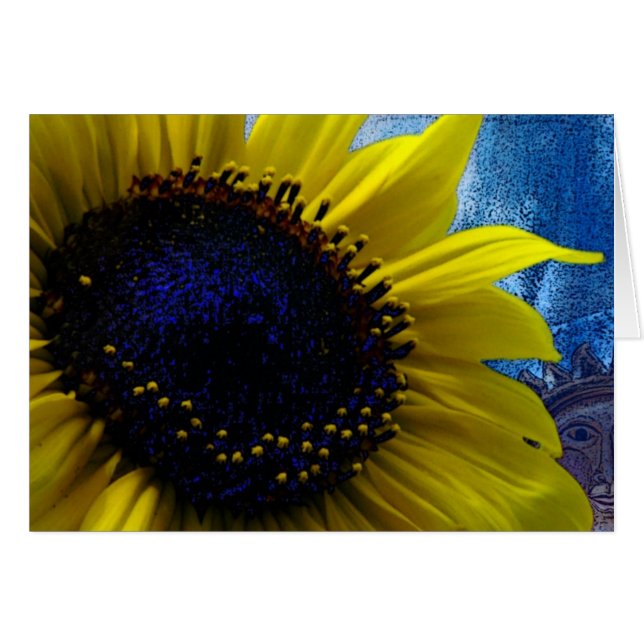 2 SOL HÄLSNINGSKORT (Framsidan Horizontal)