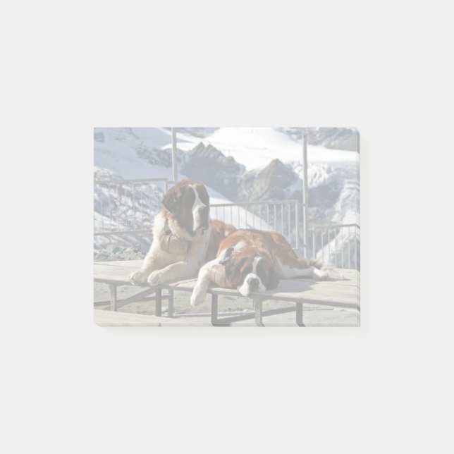 2 St-Bernard poserar - Post-it Notes block (Framsida)