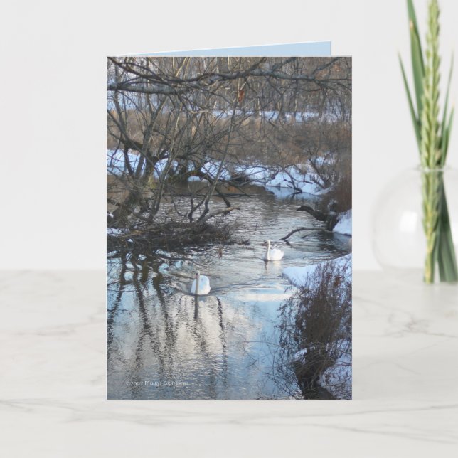 2 svanar i vinter kort (Framsida)