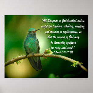 2 Timothy 3:16-17 Christian Poster Hummingbird