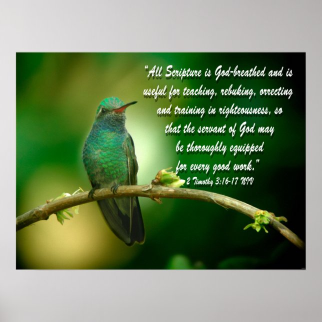 2 Timothy 3:16-17 Christian Poster Hummingbird (Framsidan)