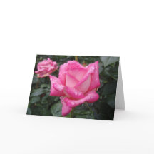 2-Tona rosa ros