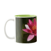 2 TONED MUGG, ROSA LOTUS BLOMMAR