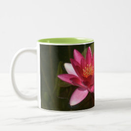2 TONED MUGG, ROSA LOTUS BLOMMAR Två-Tonad MUGG