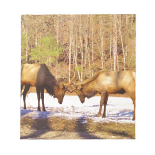 2~ två Bull Elk i snö Anteckningsblock