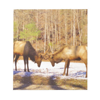 2~ två Bull Elk i snö Anteckningsblock