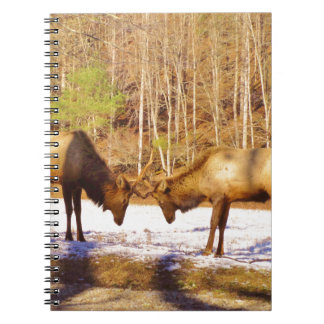 2~ två Bull Elk i snö Anteckningsbok Med Spiral