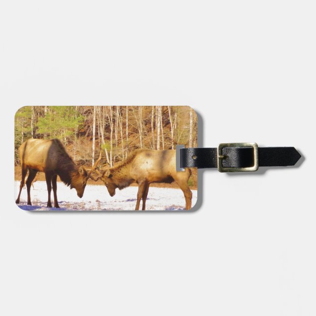 2~ två Bull Elk i snö Bagagebricka (Horisontell Framsida)