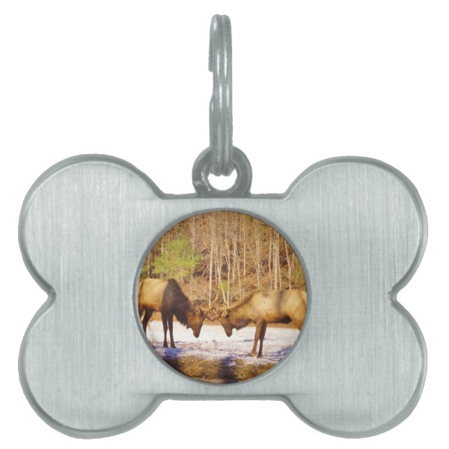 2~ två Bull Elk i snö ID-bricka Husdjur (Framsidan)