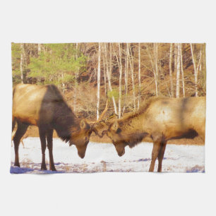 2~ två Bull Elk i snö Kökshandduk