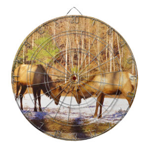 2~ två Bull Elk i snö Piltavla