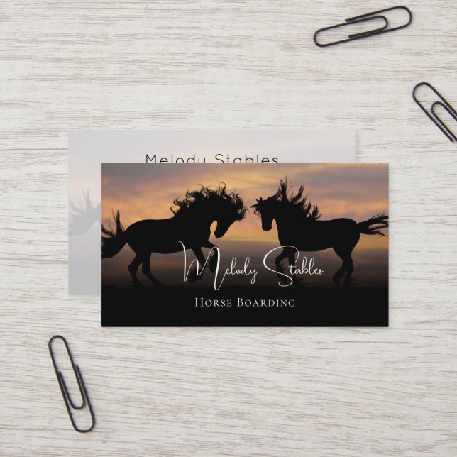 2 Vild Horses Silhouette Photograph Visitkort (Fram/Back In Situ)