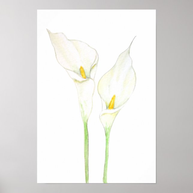 2 vita calla lila vattenfärg poster (Framsidan)