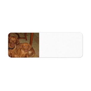 2 vizslas returadress etikett