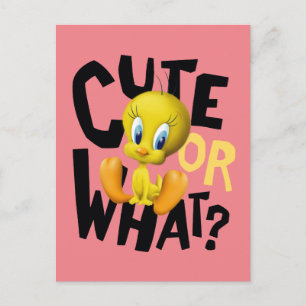 2 WEETY™-Cute eller vad? Vykort