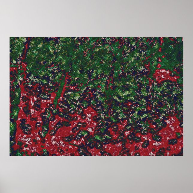 2b004 AUTUMNfoliagedifcanvasartb- Poster (Framsidan)