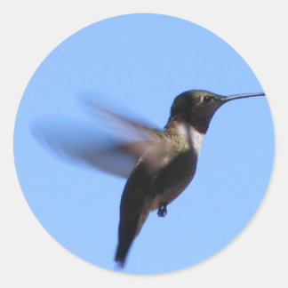 2J2 Hummingbird under flygning i Blå himmel Runt Klistermärke