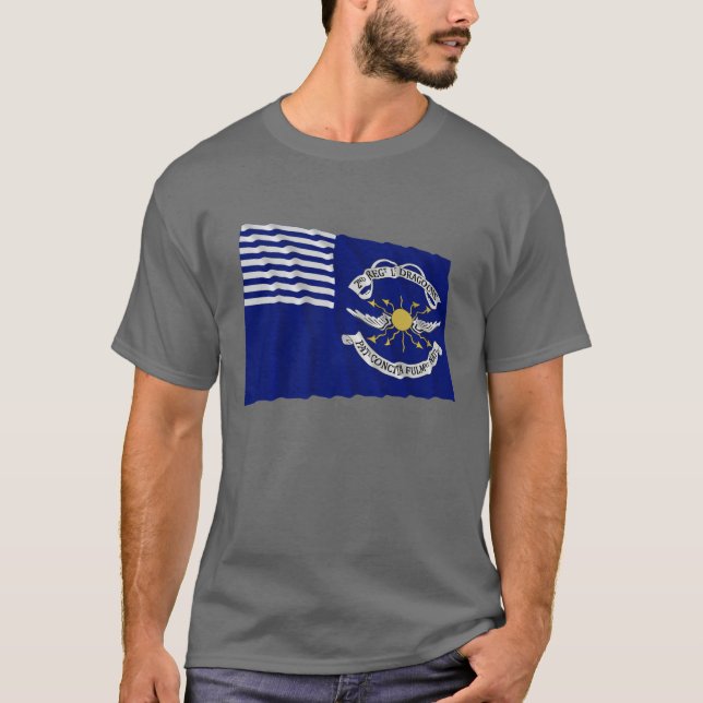 2nd RegtLt Dragon Vinka Sjunka Tee (Framsida)