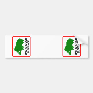 2x STICKER VOITURE SANGLIER ajustables (immatri.) Bildekal