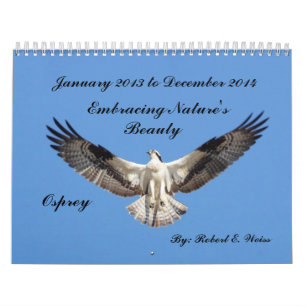 2yr. Deplicting fågelstart Jan.2013 för kalender