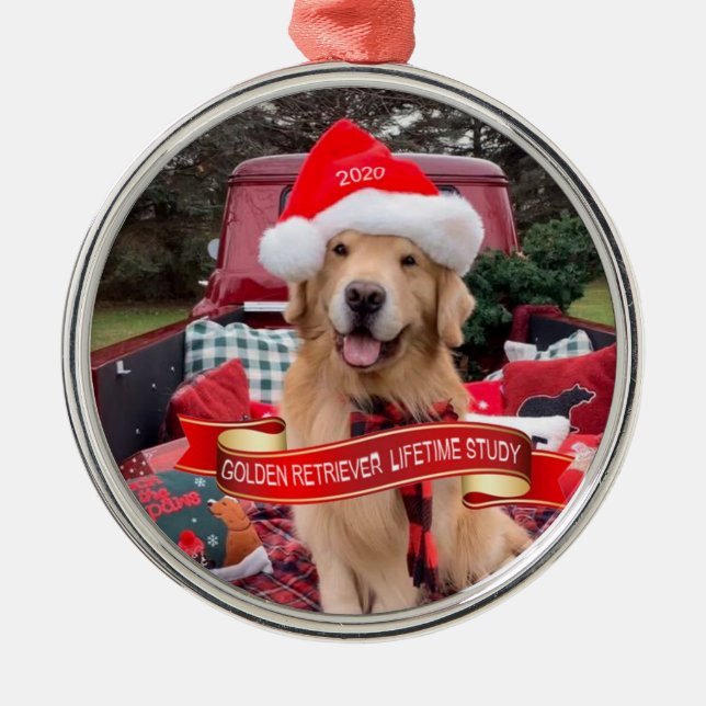 3000 starka 2020 Rund pewter-ornament Julgransprydnad Metall (Framsidan)