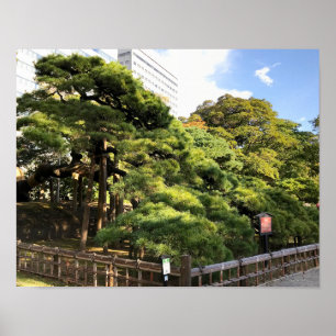 300 år gammal Gräs Träd Poster