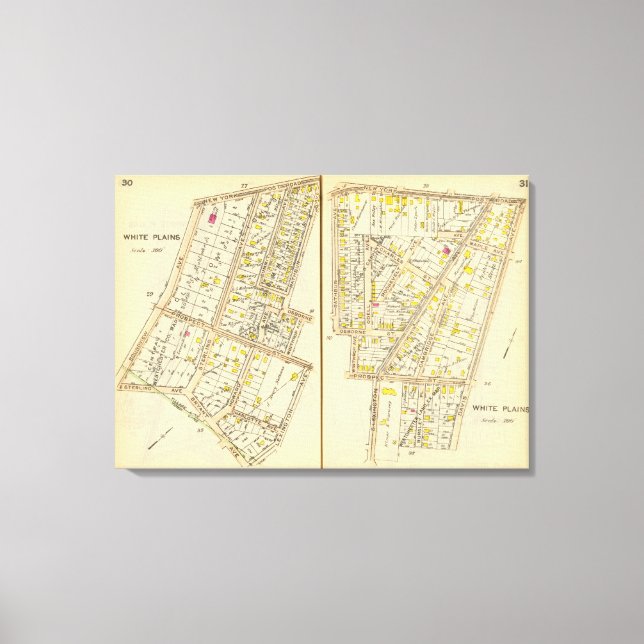 30-31 vita slättor canvastryck (Framsida)