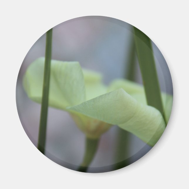 30 april blomma i gräs magnet (Framsidan)