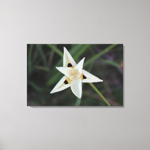 30 april Garden Flower Canvas