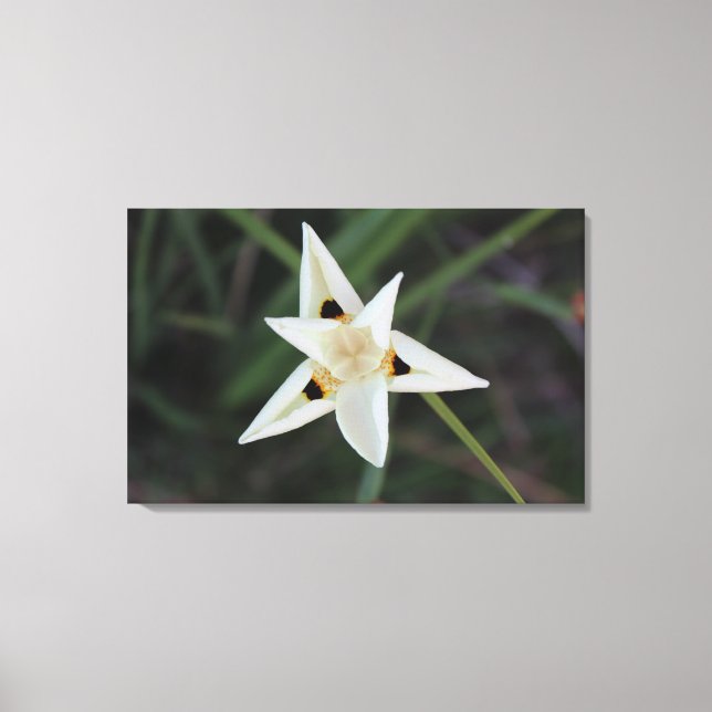 30 april Garden Flower Canvas (Framsida)
