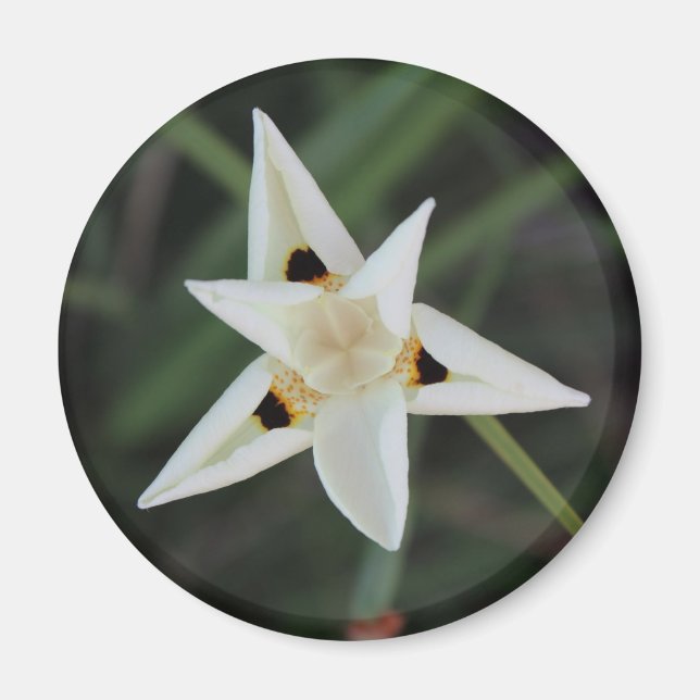 30 april Garden Flower Magnet (Framsidan)