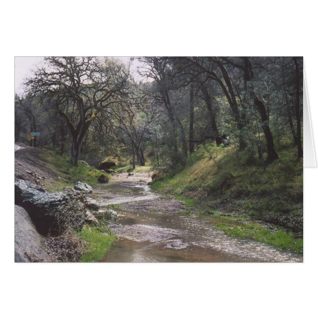 30. California Stream Hälsningskort (Framsidan Horizontal)