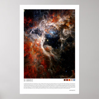 30 Doradus (Tarantula Nebula, NGC 2070) Poster