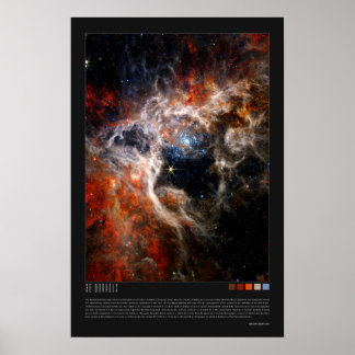 30 Doradus (Tarantula Nebula, NGC 2070) Poster