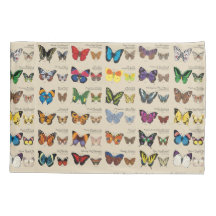 30 fjärilsart från värld runt (tända),